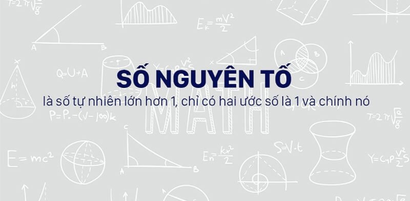 so-nguyen-to-kham-pha-suc-manh-toan-hoc-dang-sau-nhung-con-so-dac-biet-tusach-vn-5-1