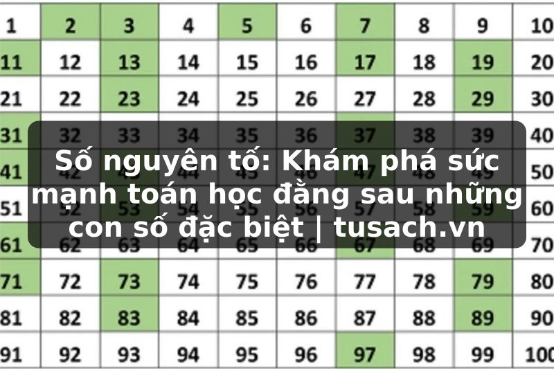Số nguyên tố: Khám phá sức mạnh toán học đằng sau những con số đặc biệt | tusach.vn