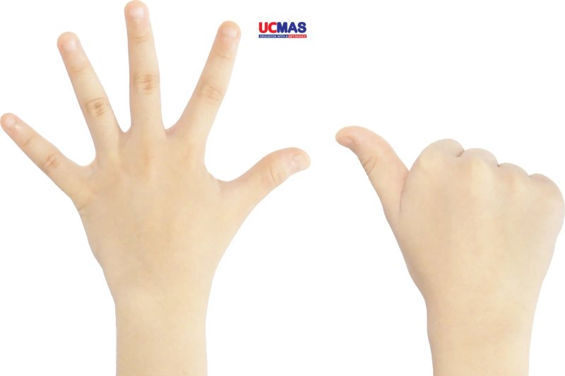 so-sanh-toan-tu-duy-ucmas-finger-math-soroban-chon-phuong-phap-nao-tusach-vn-4-2