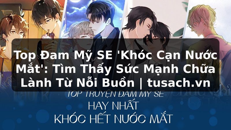 Top Đam Mỹ SE 'Khóc Cạn Nước Mắt': Tìm Thấy Sức Mạnh Chữa Lành Từ Nỗi Buồn | tusach.vn